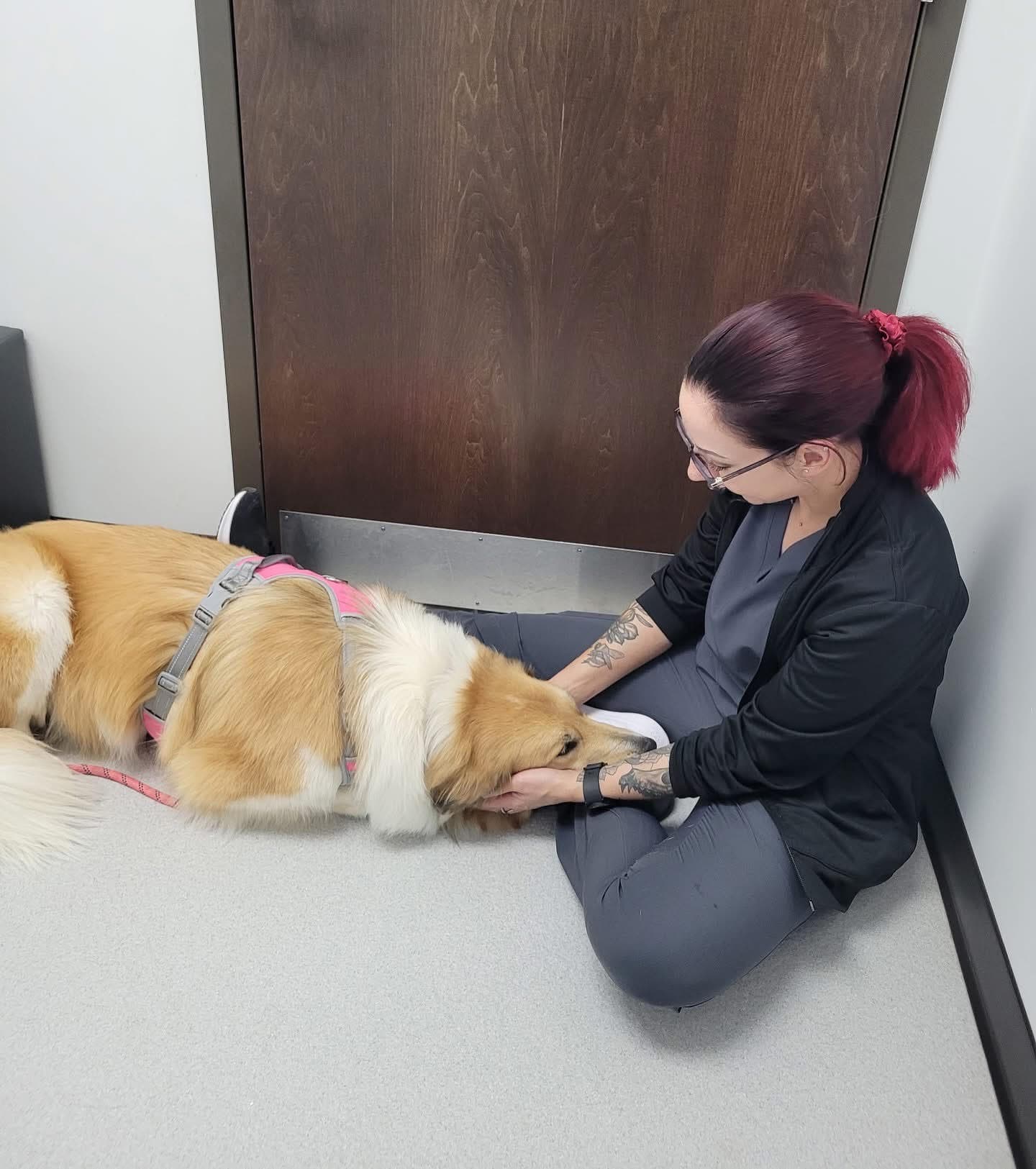 Kim Weigelt, Registered Veterinary Technician