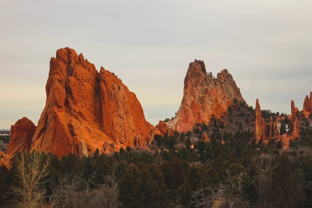 Red Rock Veterinary Health Team