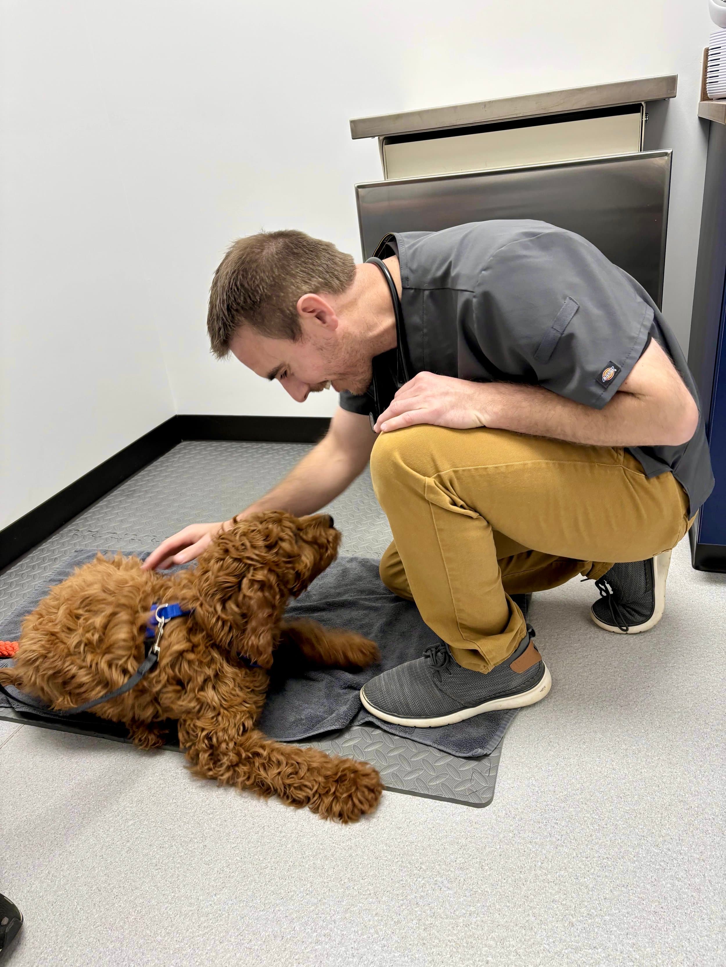 Dr. Unsell enjoying puppy time at Red Rock Veterinary Health in Colorado Springs